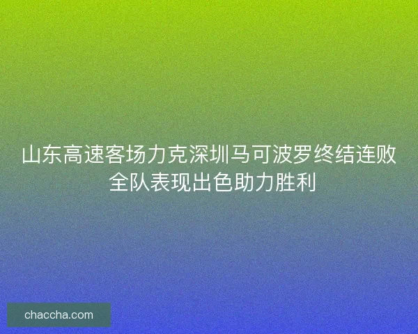 山东高速客场力克深圳马可波罗终结连败 全队表现出色助力胜利